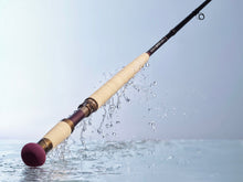 Salar 4 Rods