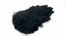 Lesonen hen hackle