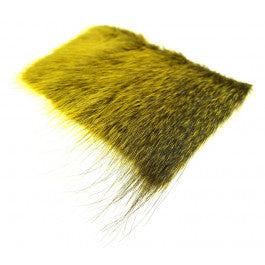 Nutria Yellow