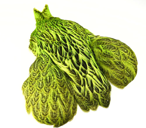 FF Freshwater  Hen saddle cape FL  green