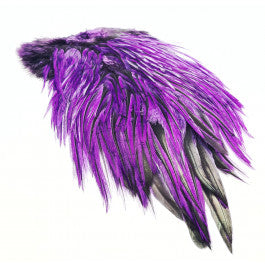 FFFreshwater rooster saddke dyed purple