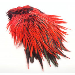 FF Freashwater rooster saddle dyed  Red