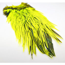 FF Freshwater  Rooster dyed yellow chartreuse