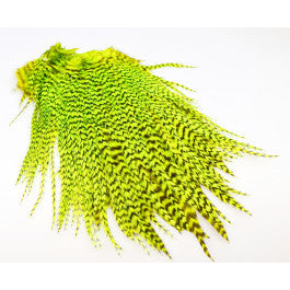 FF Freshwater Rooster saddle grizzly  Chartreuse