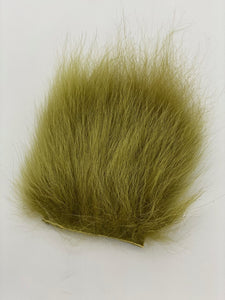 Temple Dog  Olive