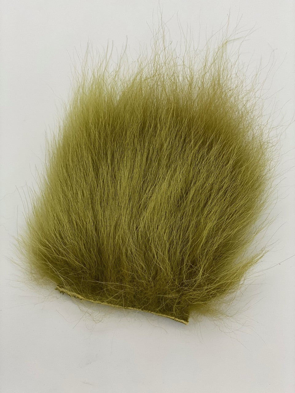 Temple Dog  Olive