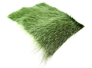 Nutria Olive
