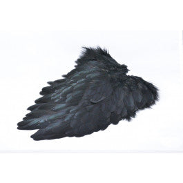 American Sadde hackle  Black