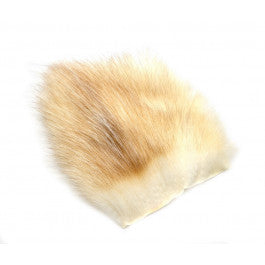 American Opossum  Baitfish White