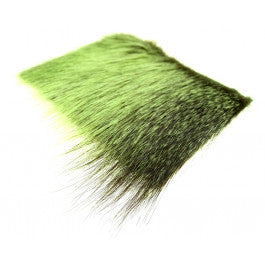 Nutria  Chartreuse