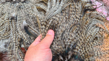 Coq de Leon Rooster saddle