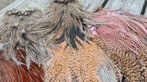 Coq de Leon Rooster saddle