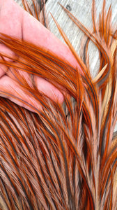Coq de Leon Rooster saddle