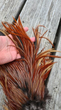 Coq de Leon Rooster saddle