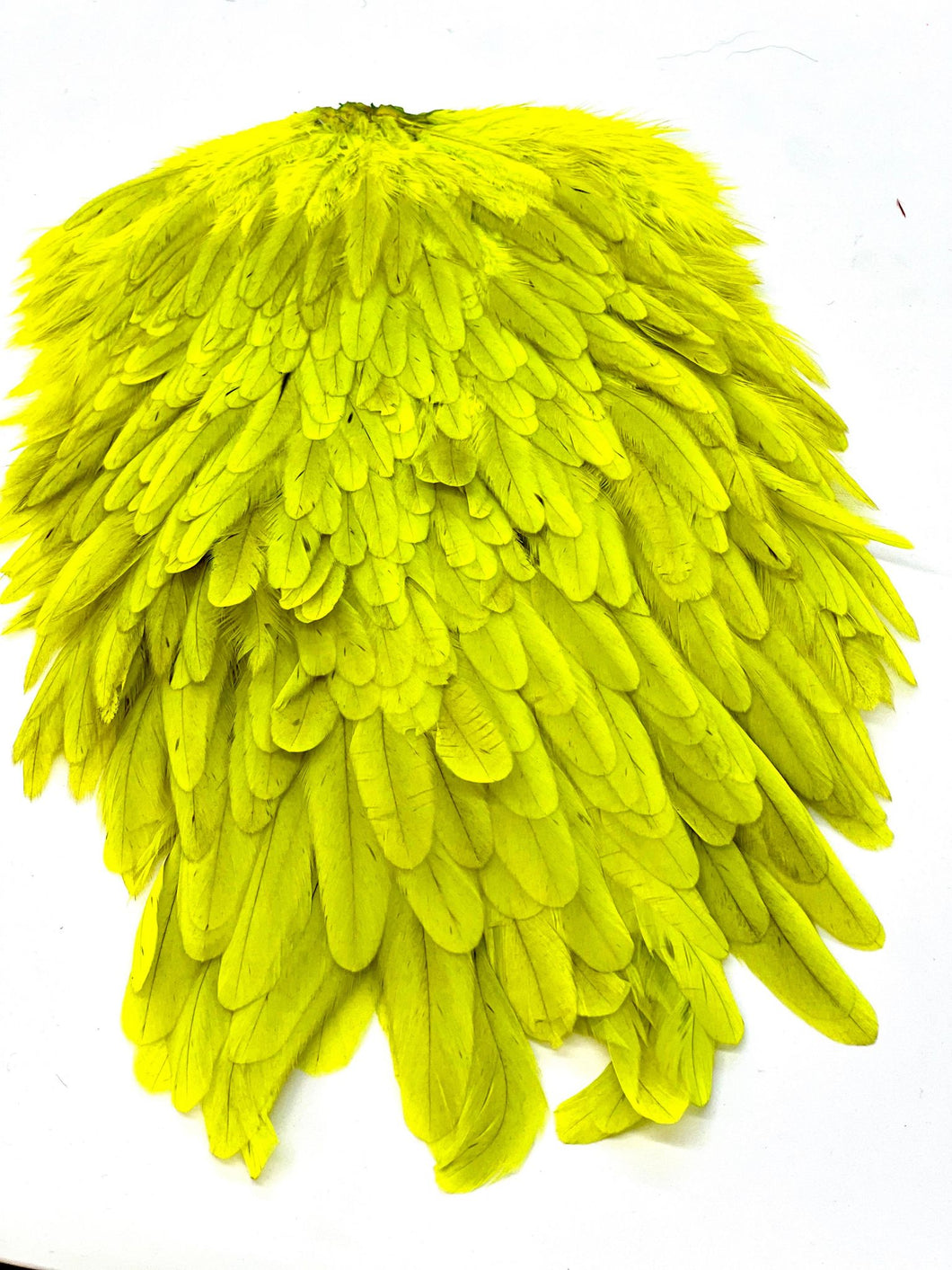 FF signature Hen saddle  dirty chartreuse