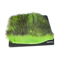 American Opossum Chartreuse