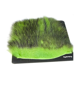 American Opossum Chartreuse