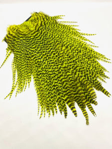 FF roister saddle grizzly yellow chartreuse