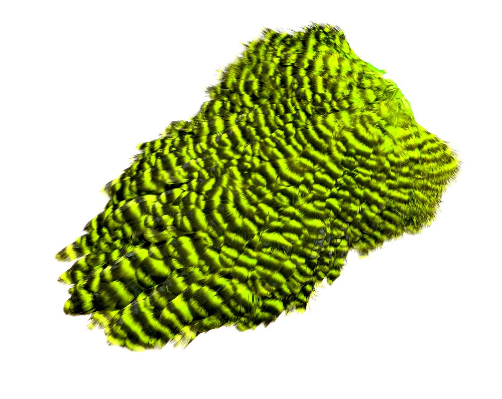 American Sadde hackle  Grizzly  Fluo Green