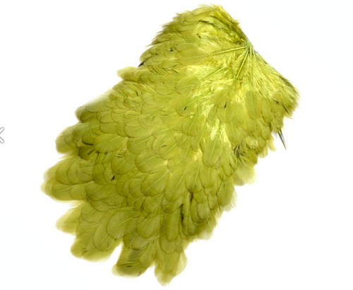 FF american saddle Olive