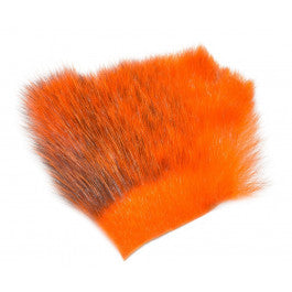 Americam Opossum   Orange