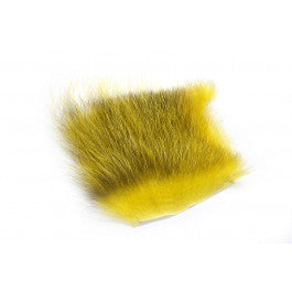 American Opossum Golden Olive