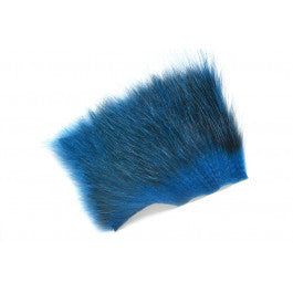 American Opossum  King Fisher BLue