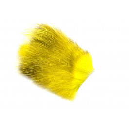 American Opossum Yellow