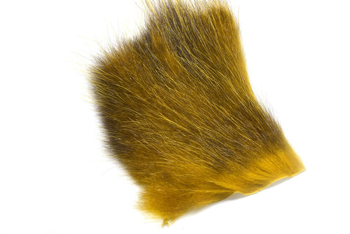 American Opossum Olive number 1