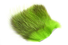American Opossum Chartreuse