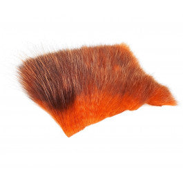 American Opossum Orange /Brown