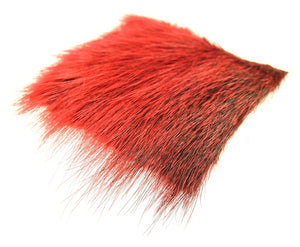 Nutria Red