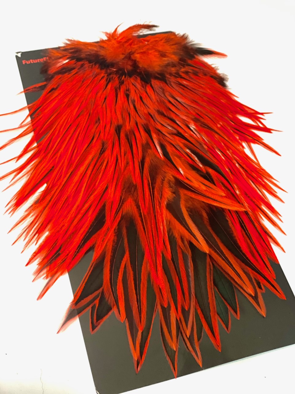 FF rooster saddle dyed  fire Orange