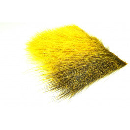 Nutria  sunburst Yellow