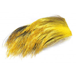 FF wild Boar Yellow